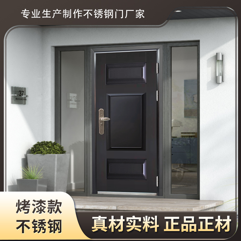 双开门农村自建房入户单开烤漆门农村大门进户门简约现代不锈钢门