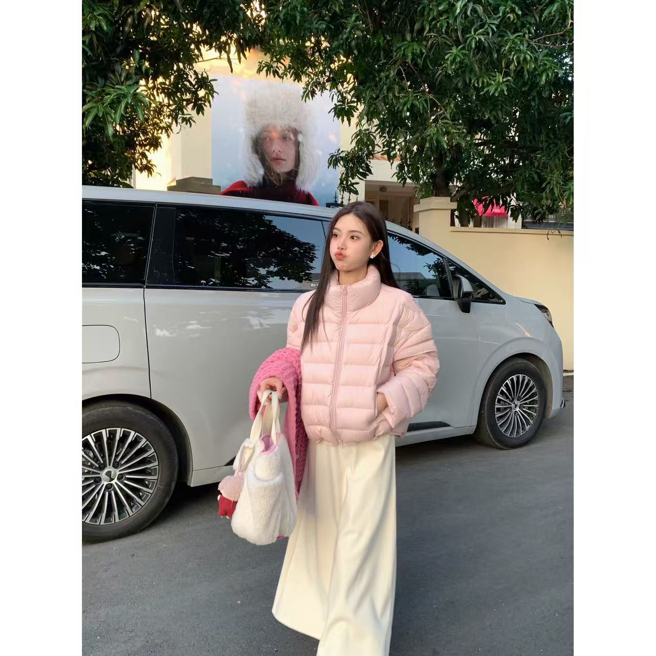 【请叫我大韩】冬季女士时尚百搭立领排骨短款羽绒服.FZ