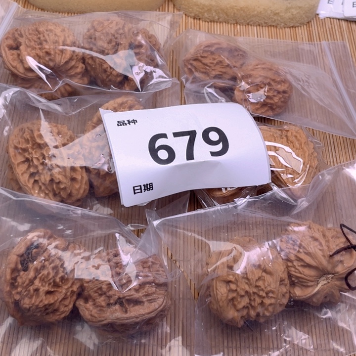 文玩核桃把件679号6对