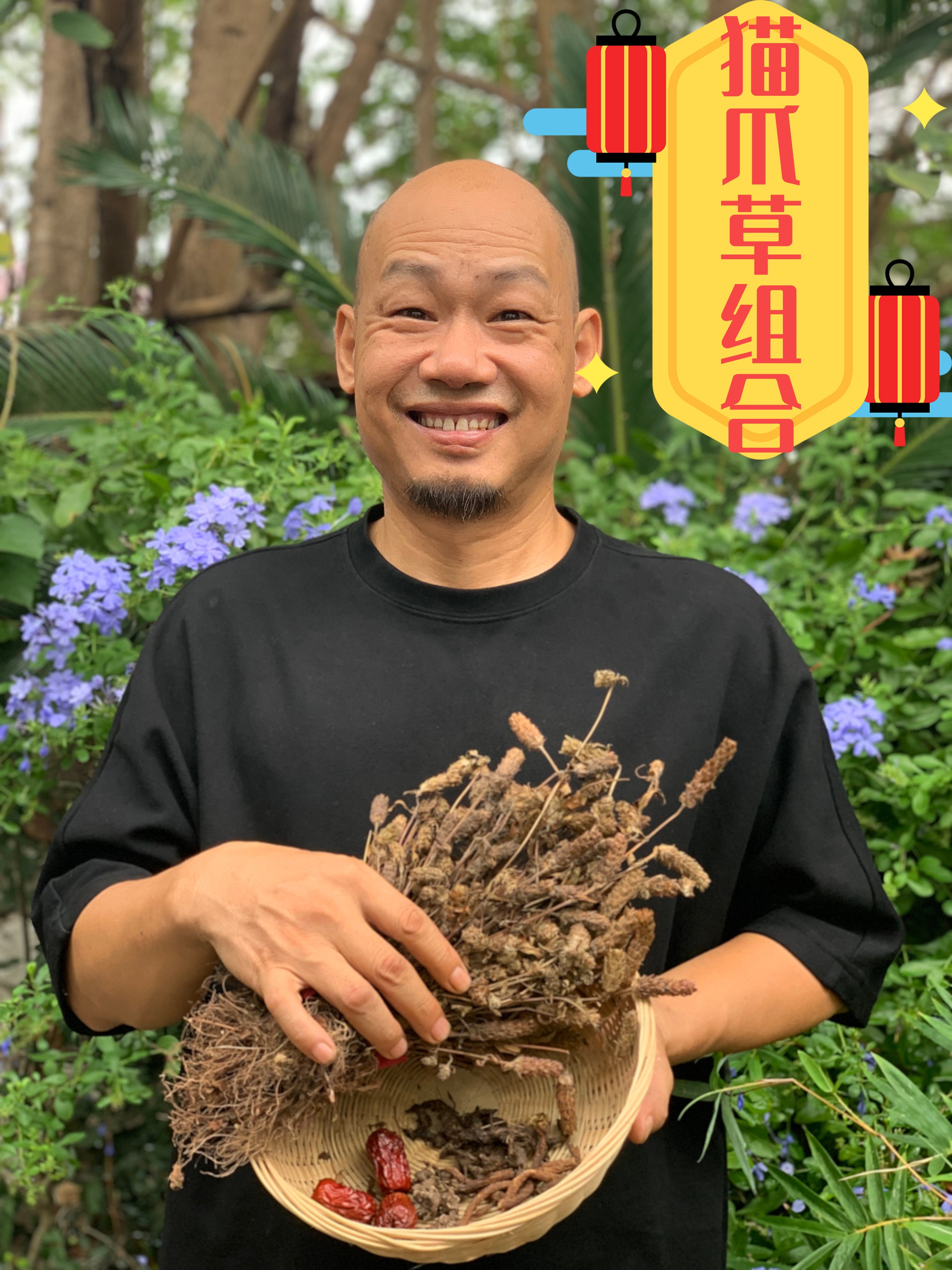 （祖传配比）猫爪草夏枯草蒲公英根香附子等湖南高山自己采摘煮鸡蛋