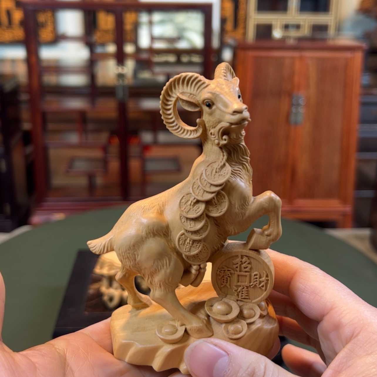 【闪购商品】黄杨木其他黄杨木