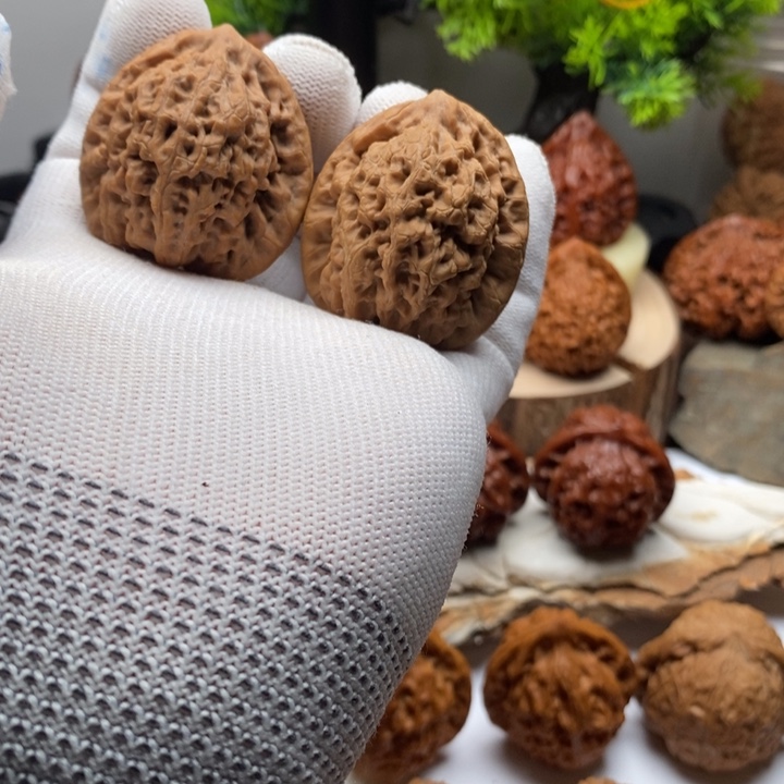 冬***木质金公子文玩核桃40