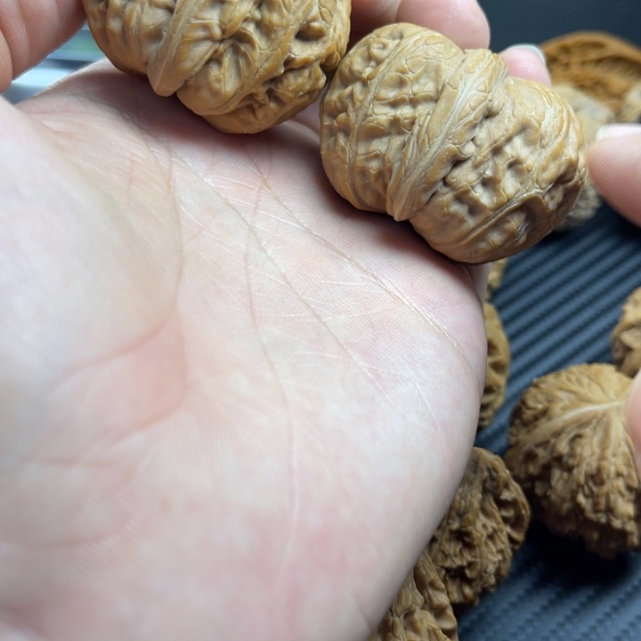 ゛***D文玩核桃把件45元宝全品