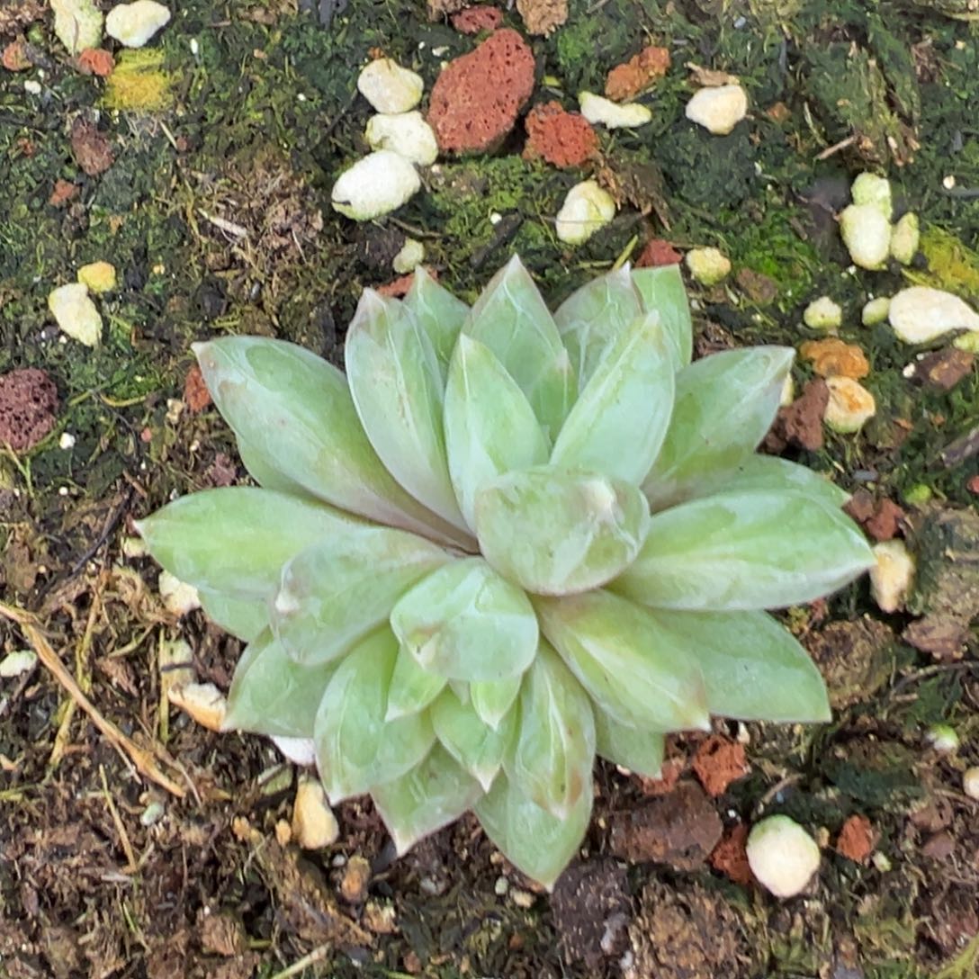 鱼****111111111111111111111111111