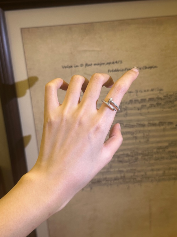 非金属莫桑石戒指 19.【卡卡】钉子戒指头尾钻莫桑钻