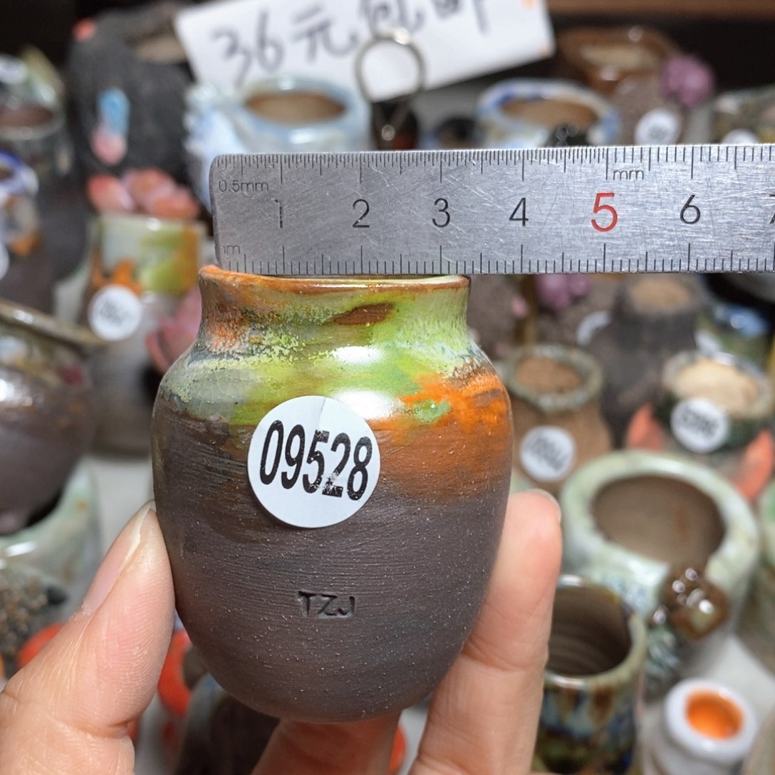 多肉花盆拍5送一个小礼物