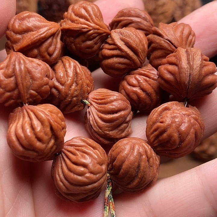 纯手工苏工生命之源