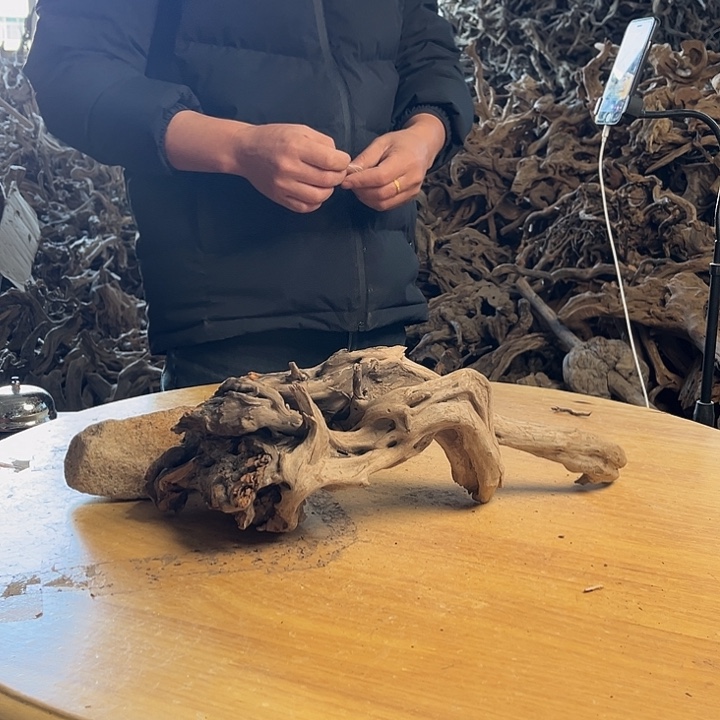 木401514 鱼缸造景根雕艺术198