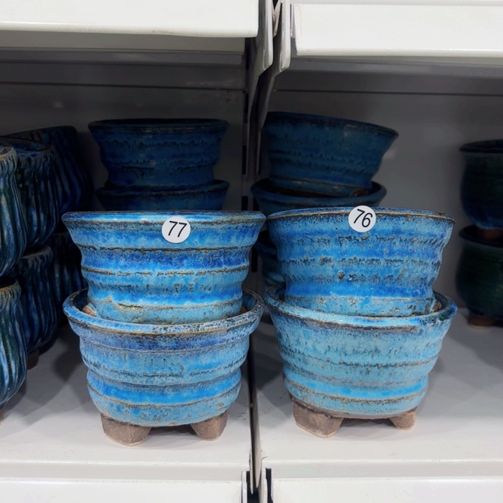 红陶内口12高8.5左右