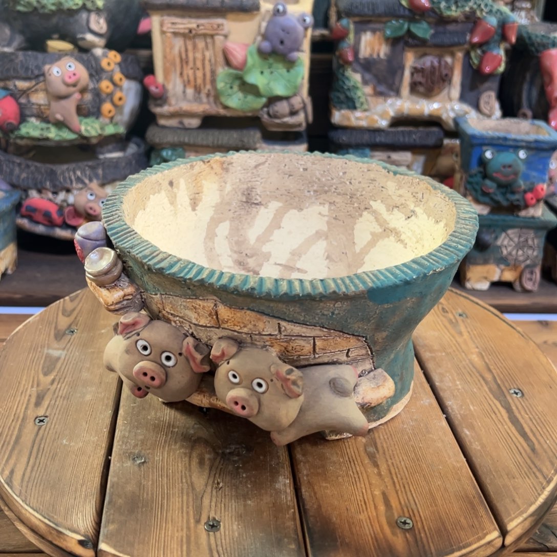 红陶嘻哈多肉花盆