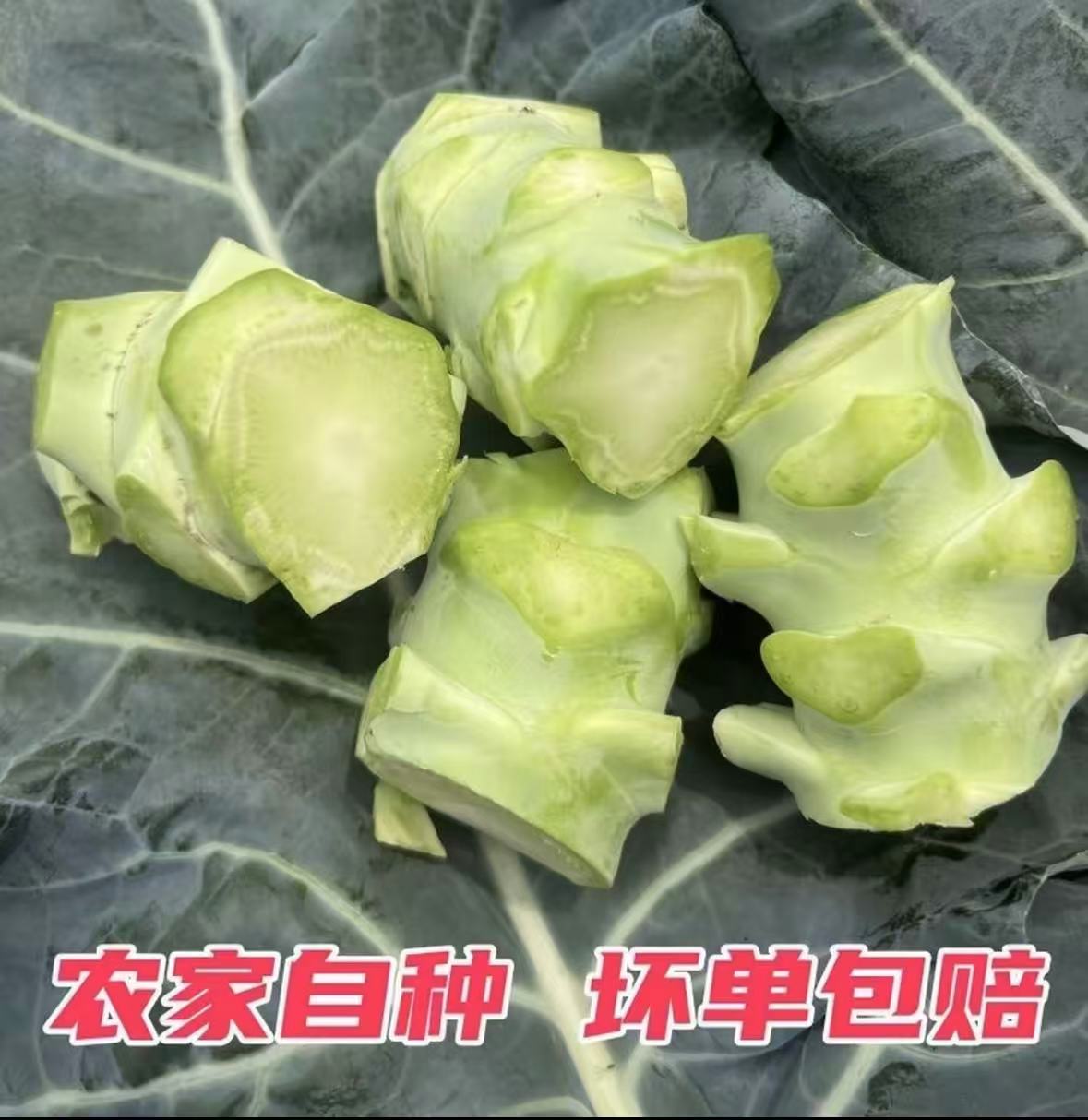 【泡菜专用】新鲜露天种植西蓝花梗可腌制可清炒新鲜采摘产地直发