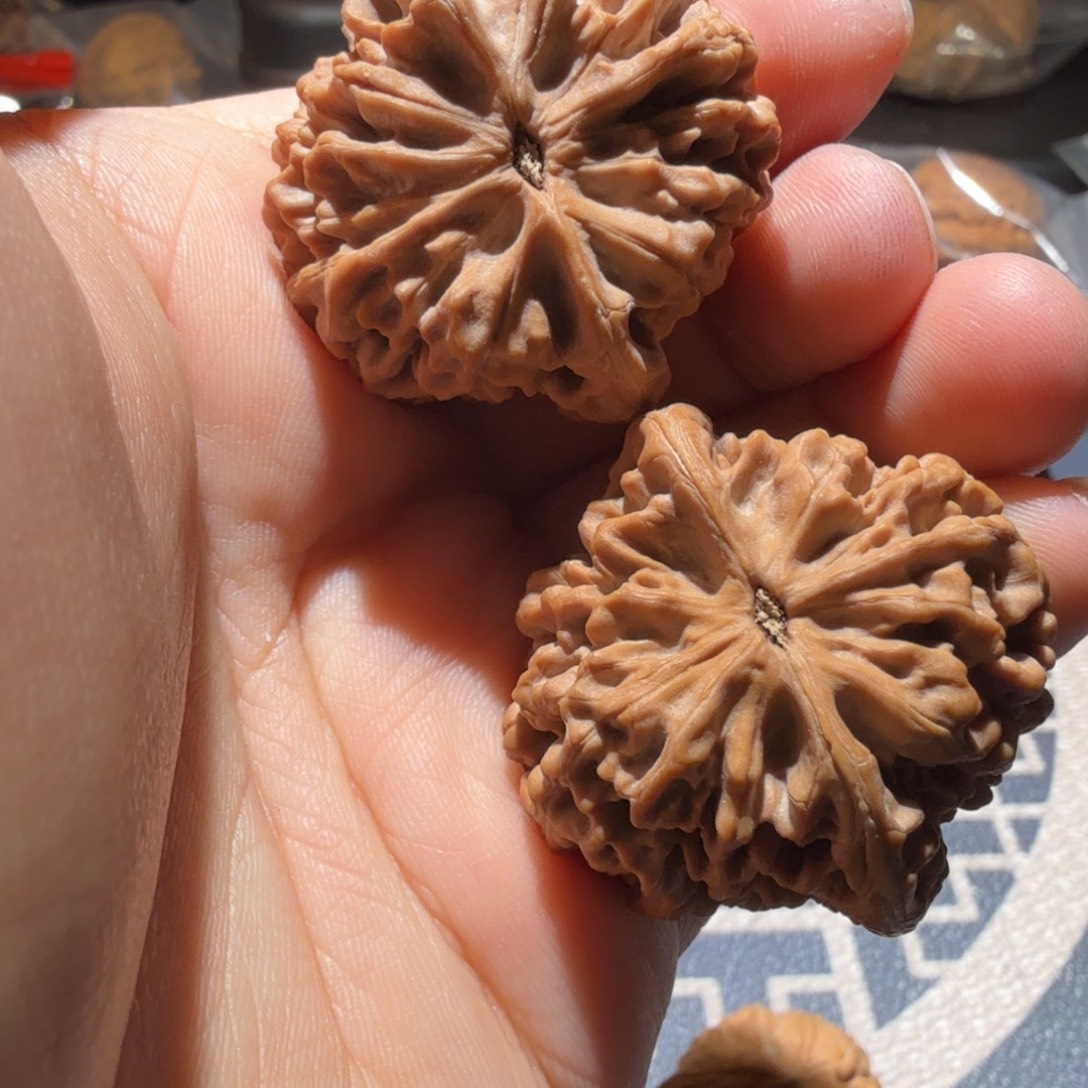 文玩核桃把件秦闷
