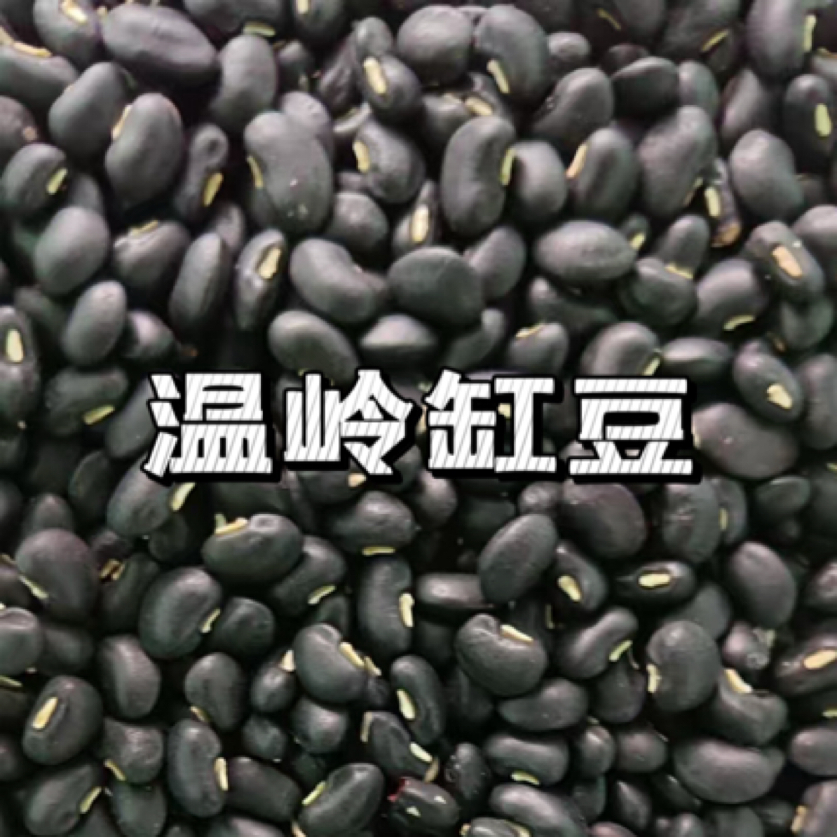 青农臻选 温岭乌缸豆 台州特色 可做缸豆饼 缸豆酒