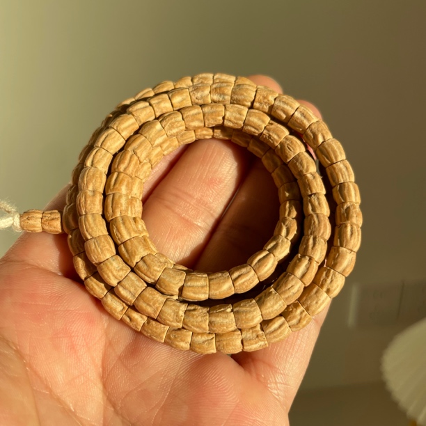 【直桶极顺斜切】直筒高桩籽斜切大肠热振百香籽热振柏香籽