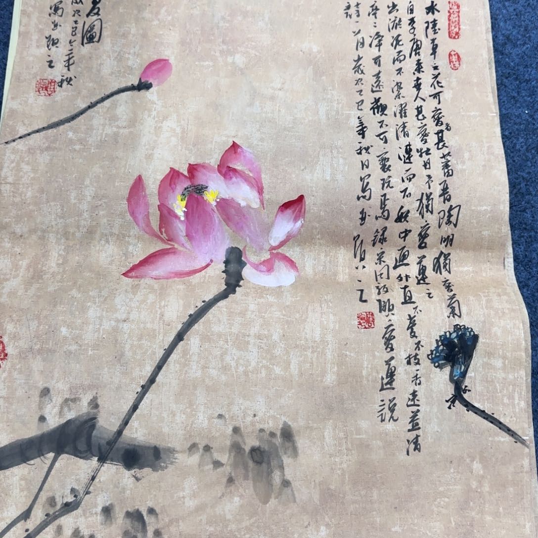 国画绘画作品欣赏展示