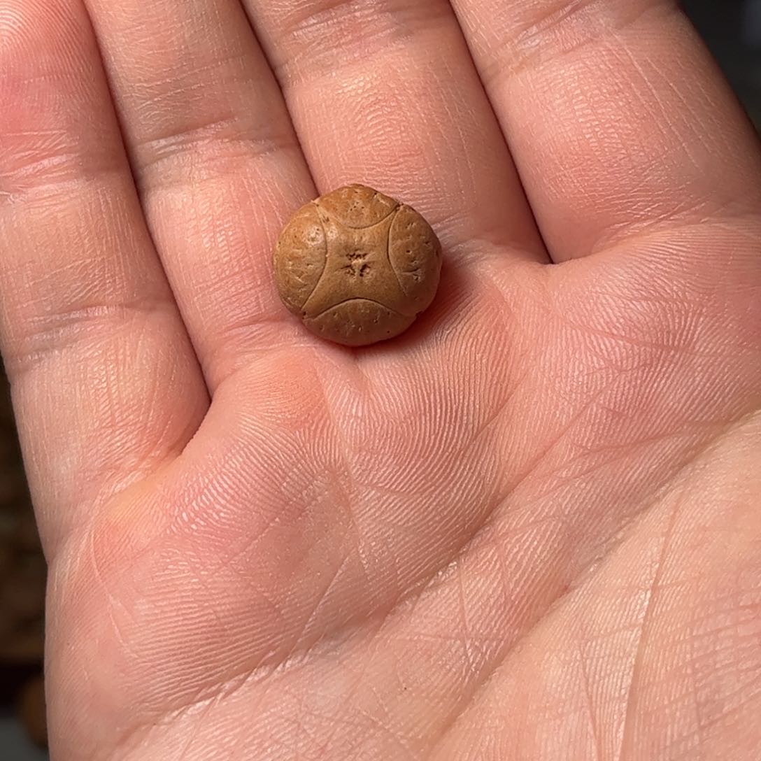 桃核吊坠15.9麒麟眼，开孔不退，偏远不包