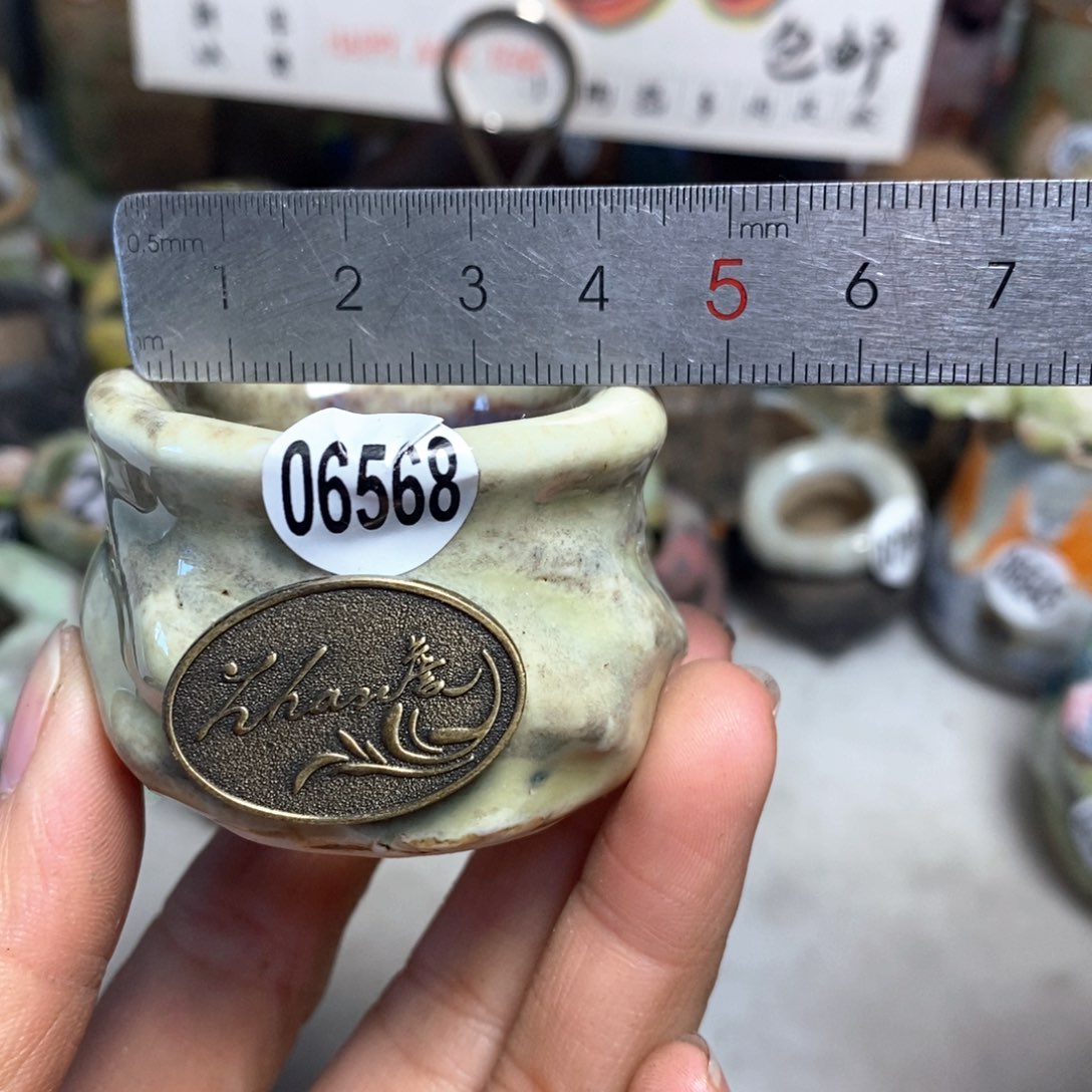 花盆拍5送一个小礼物