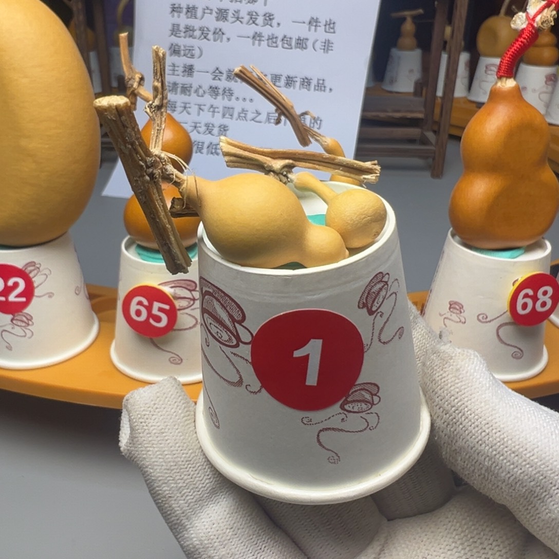 闪电购自助编号01