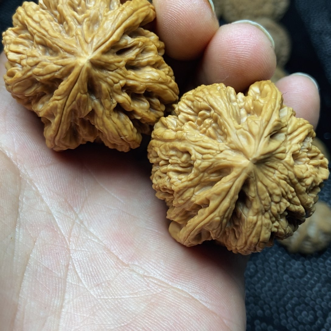 把件文玩核桃41尺大粗筋微修