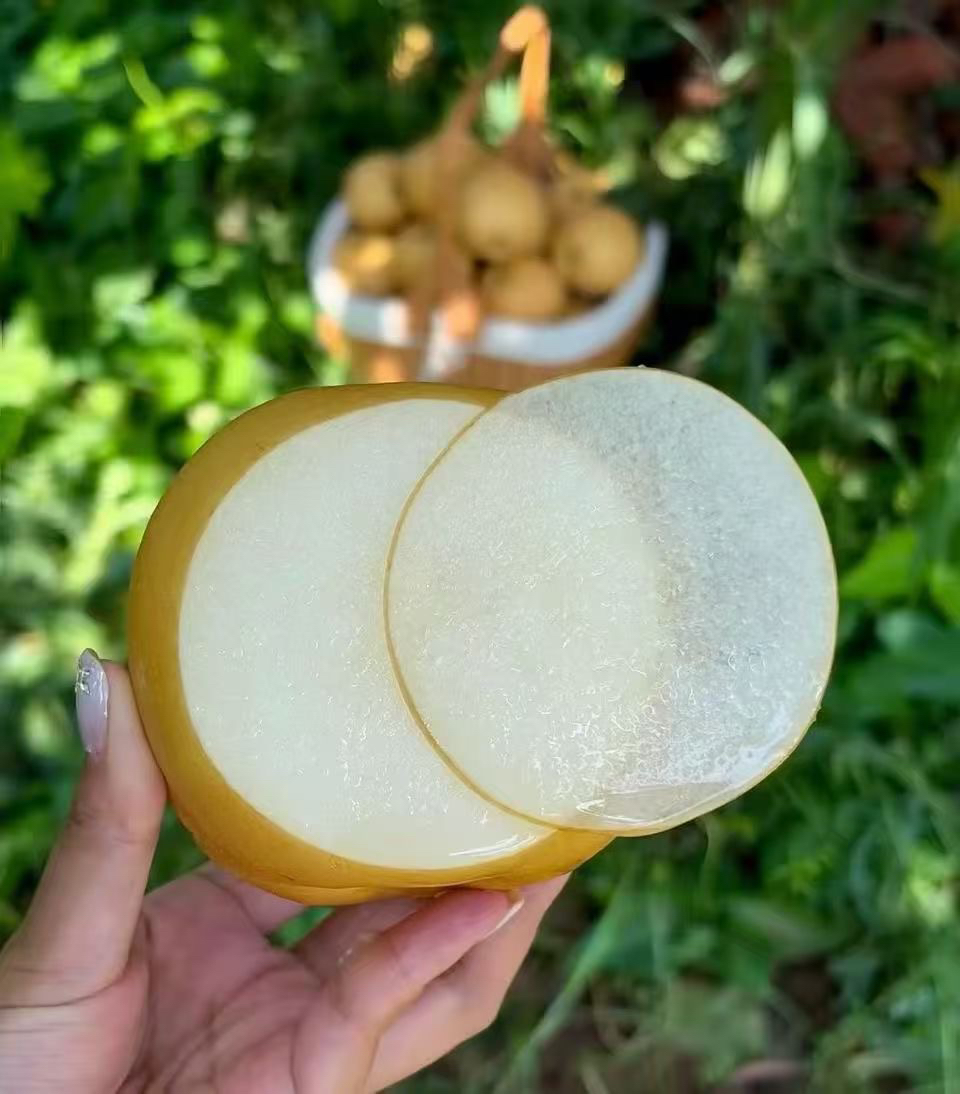 正宗秋月梨，暴甜多汁