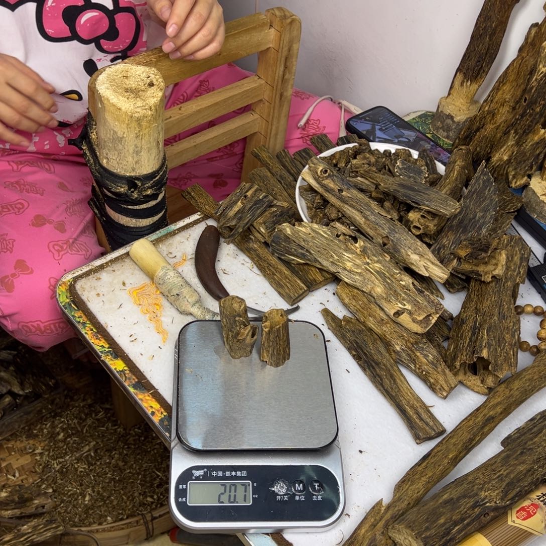 线香奇楠虫漏香20克