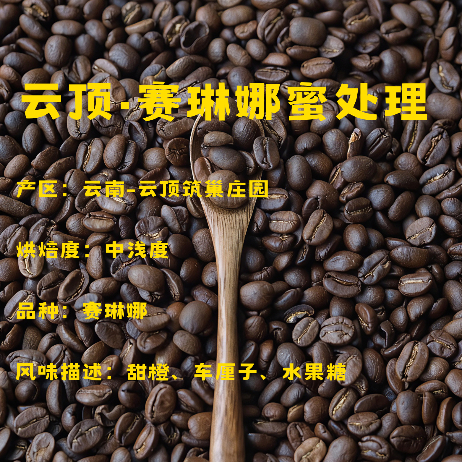 云顶筑巢庄园赛琳娜蜜处理咖啡豆