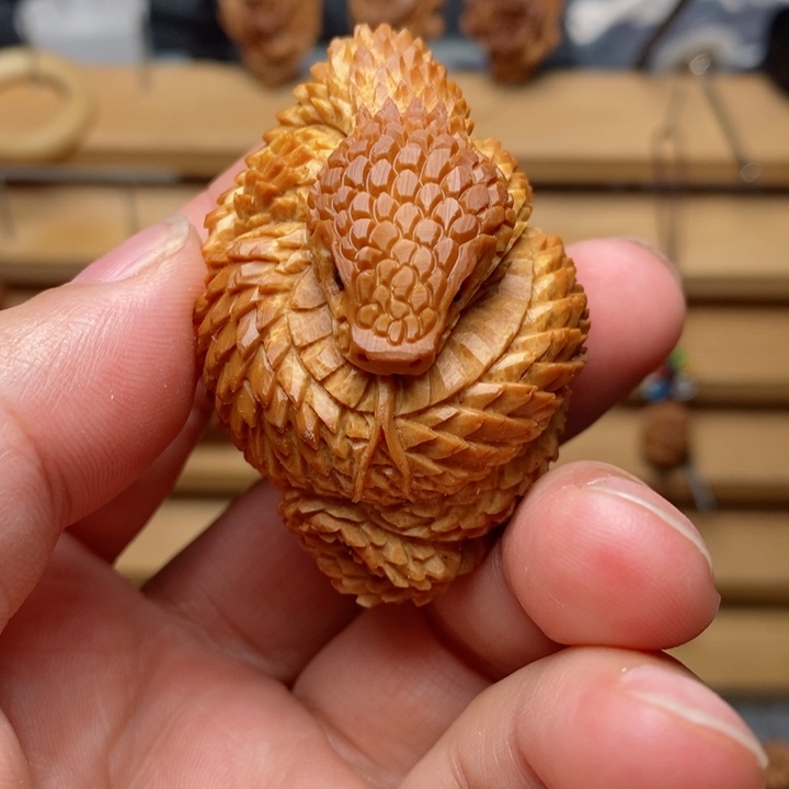 ?巴西橄榄核蛇王单颗