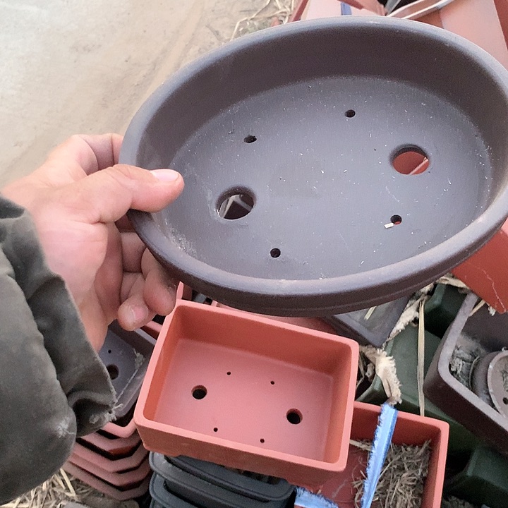 紫砂没有那么好过吧……淘宝