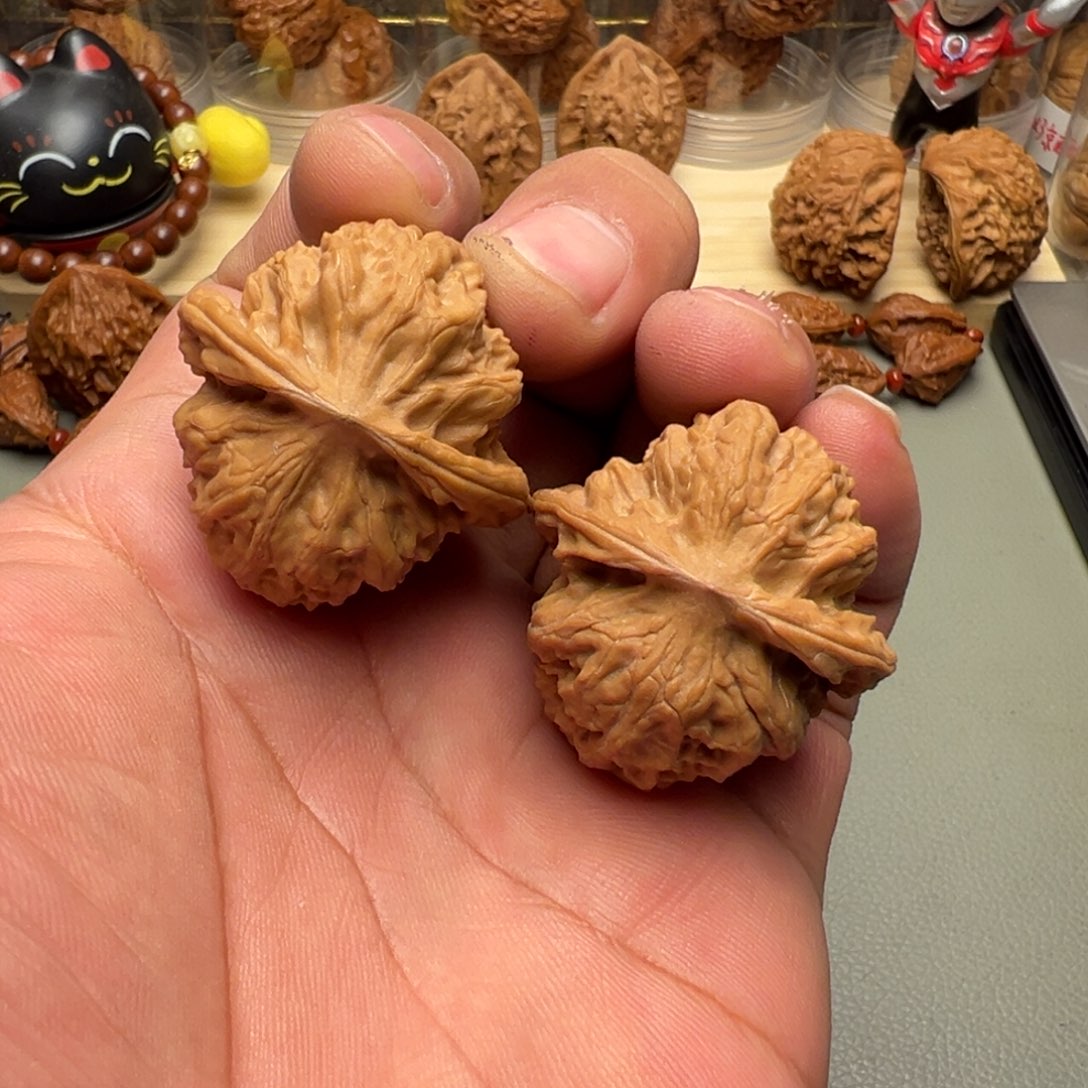 文玩核桃把件37尺全品野狼