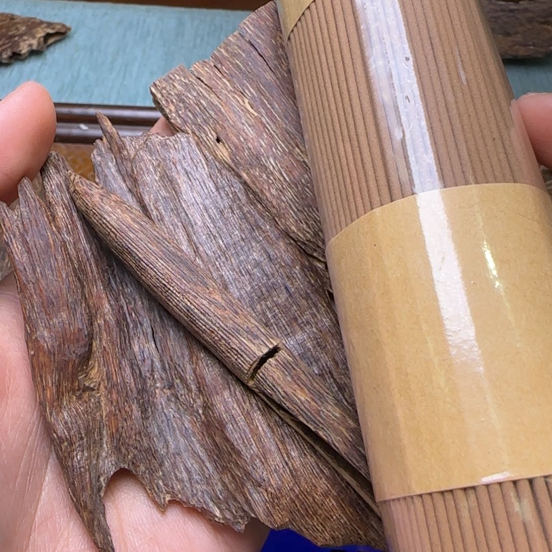 海南琼海虫漏21.7克重福利