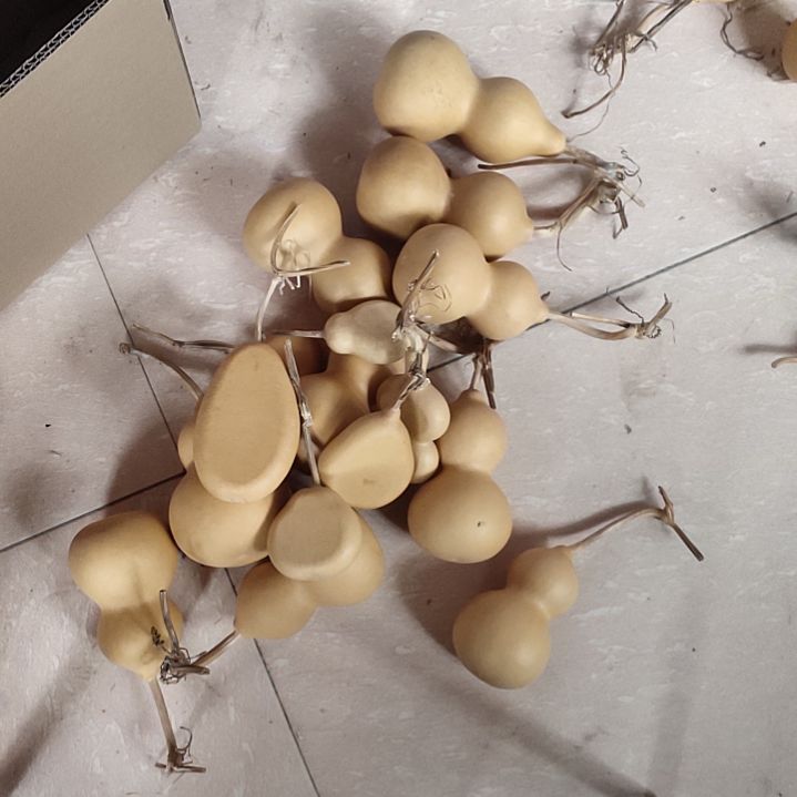一***集天然葫芦葫芦各种葫芦