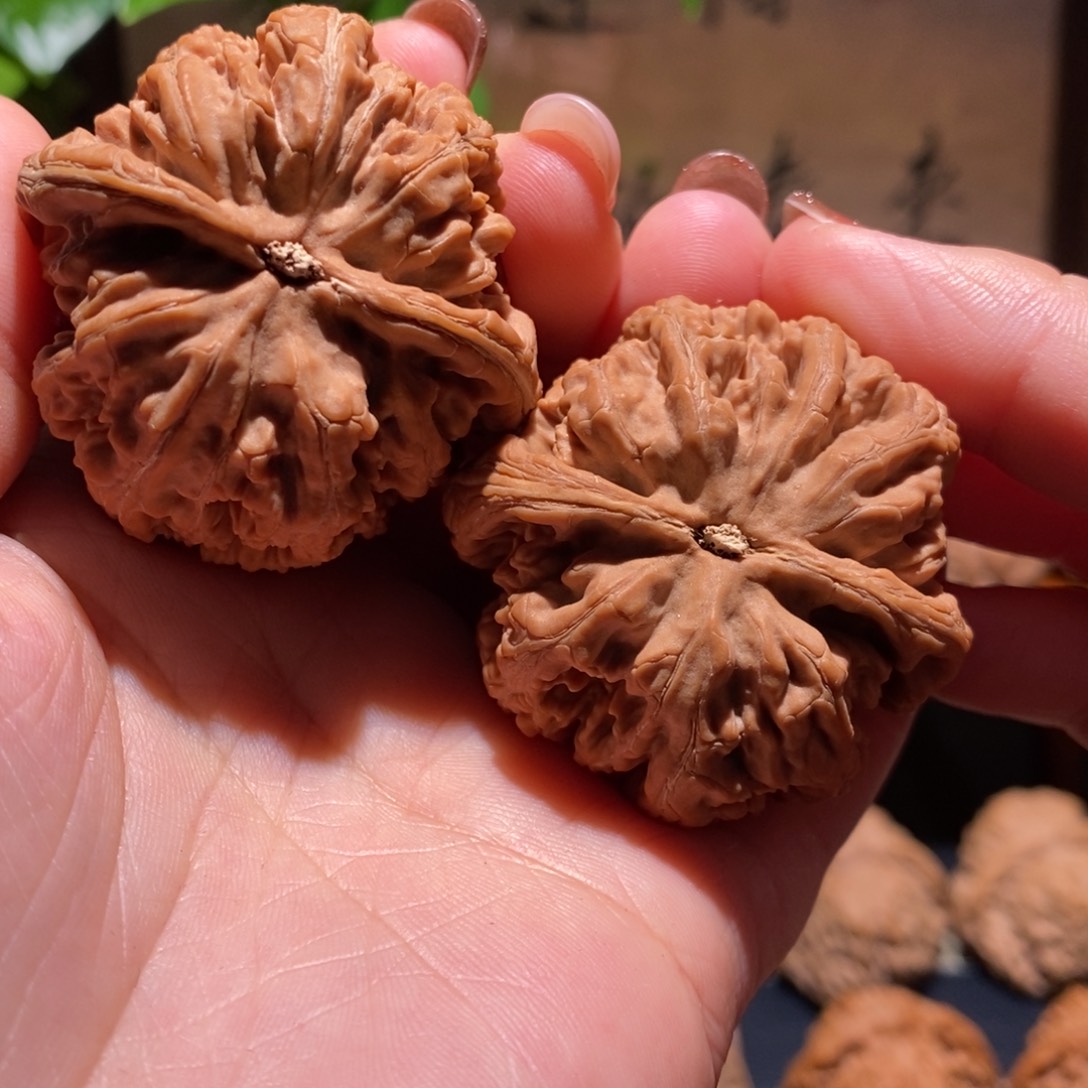 把件文玩核桃大粗筋45