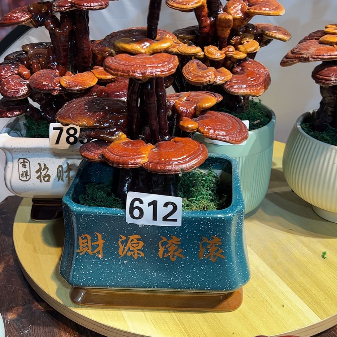 完全开放88888888