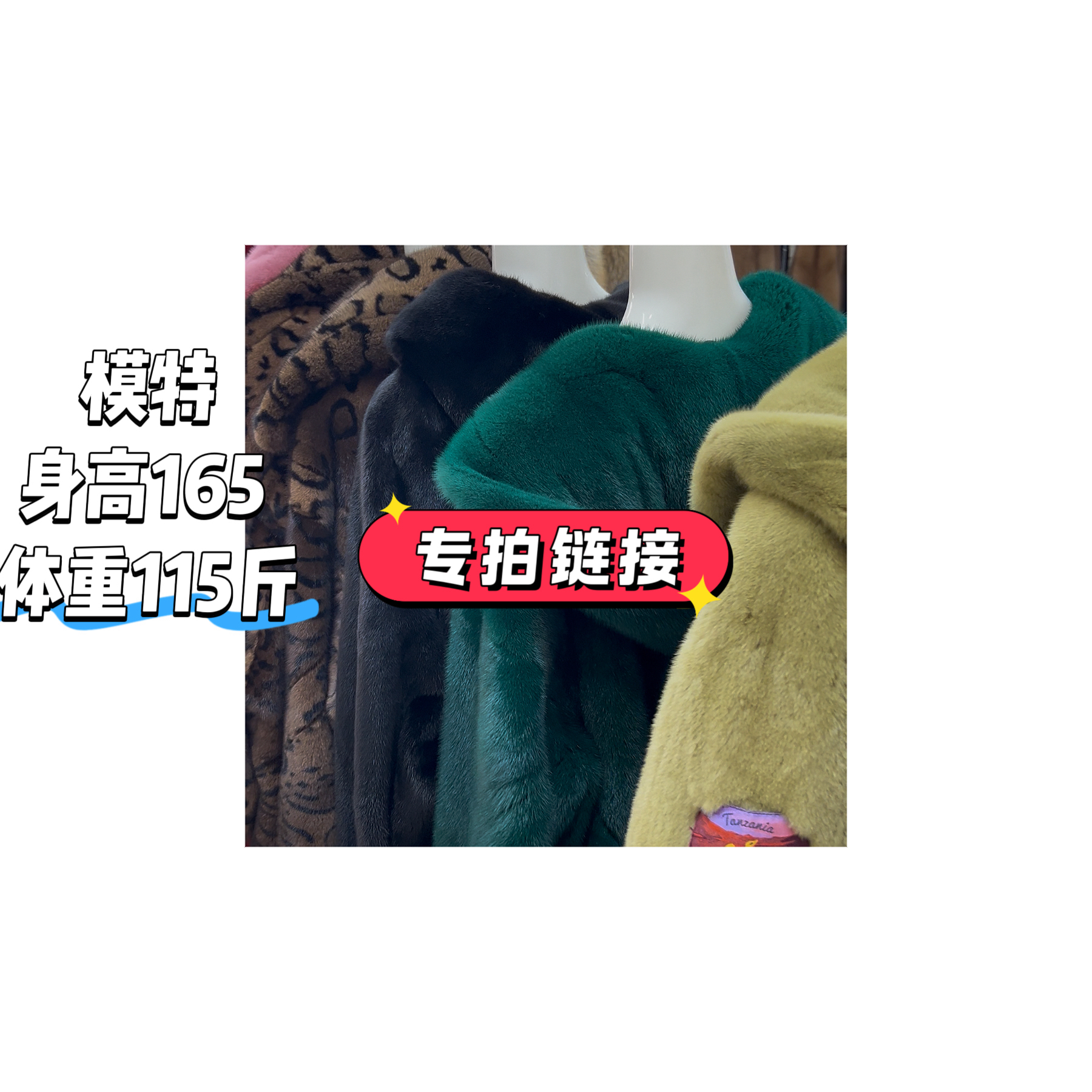 专拍链接整貂天鹅绒二短外套女冬季时尚气质大衣