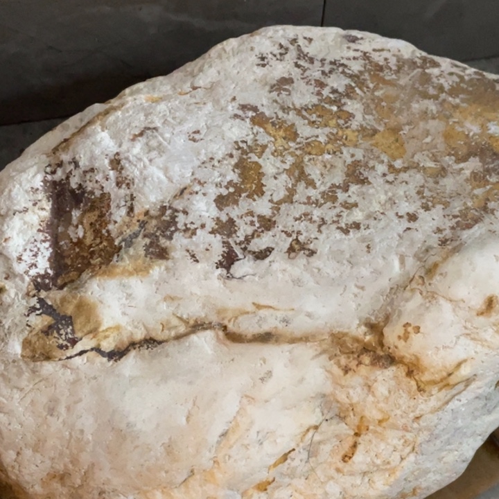 田黄石1**熊昌化田黄石