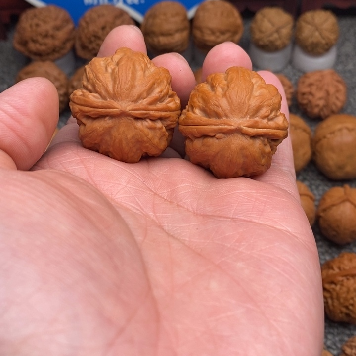 文玩核桃把件 卧龙粗筋