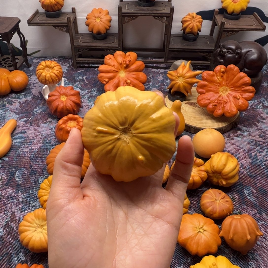 柳***墨西哥葫芦小黄饼