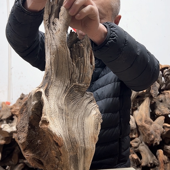 柏木乔我们都是好孩子呀我也