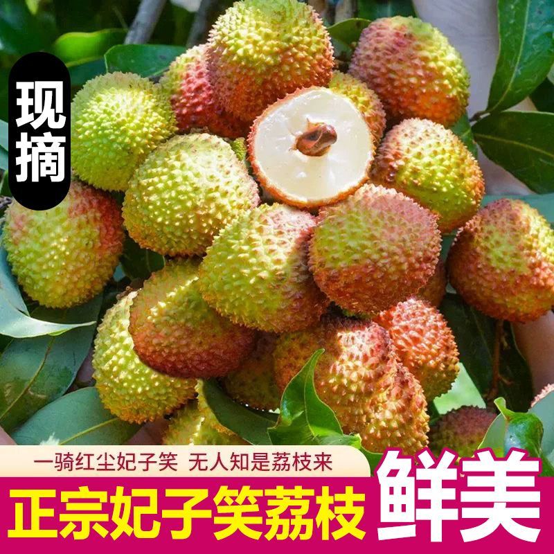 广东岭南妃子笑荔枝新鲜现摘现发