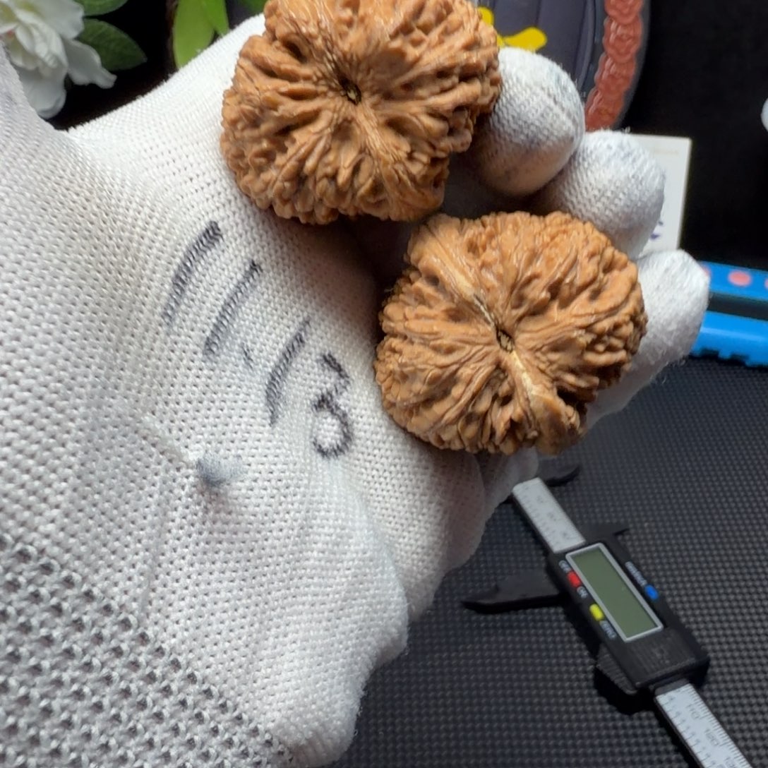 青***马吊坠文玩核桃大蒜头37