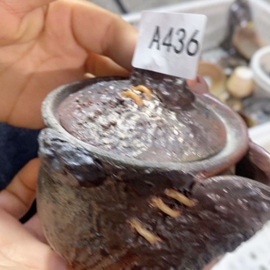 福利福利活动来了啊