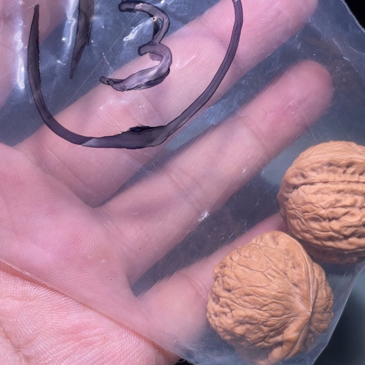 文玩核桃吊坠13呃呃呃好