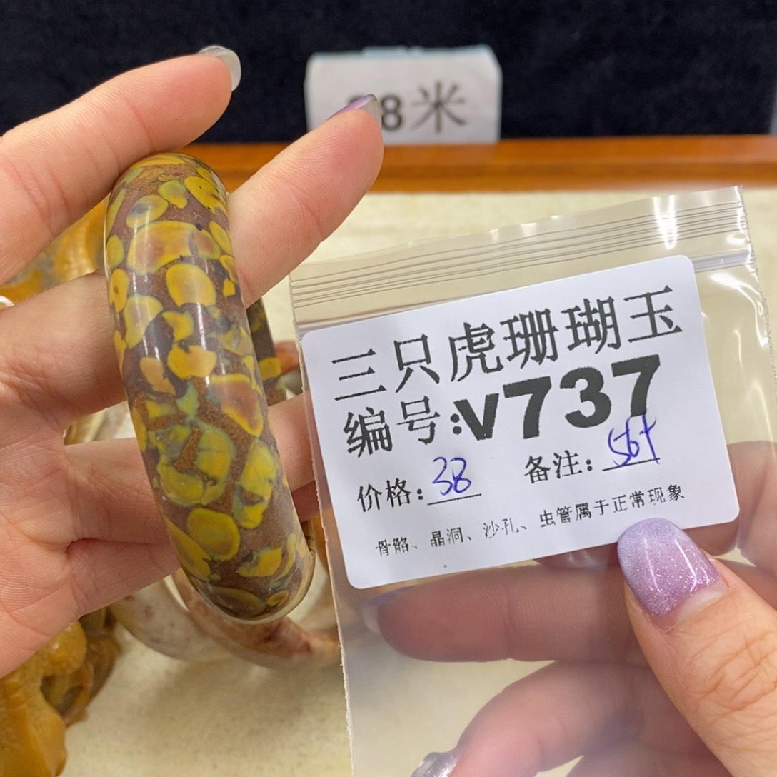 硅化珊瑚（珊瑚玉）未镶嵌1小**飞