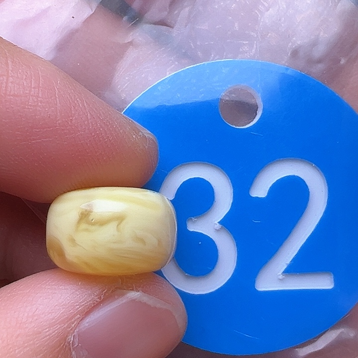 蜜蜡裸石未镶嵌花粉13.3m m