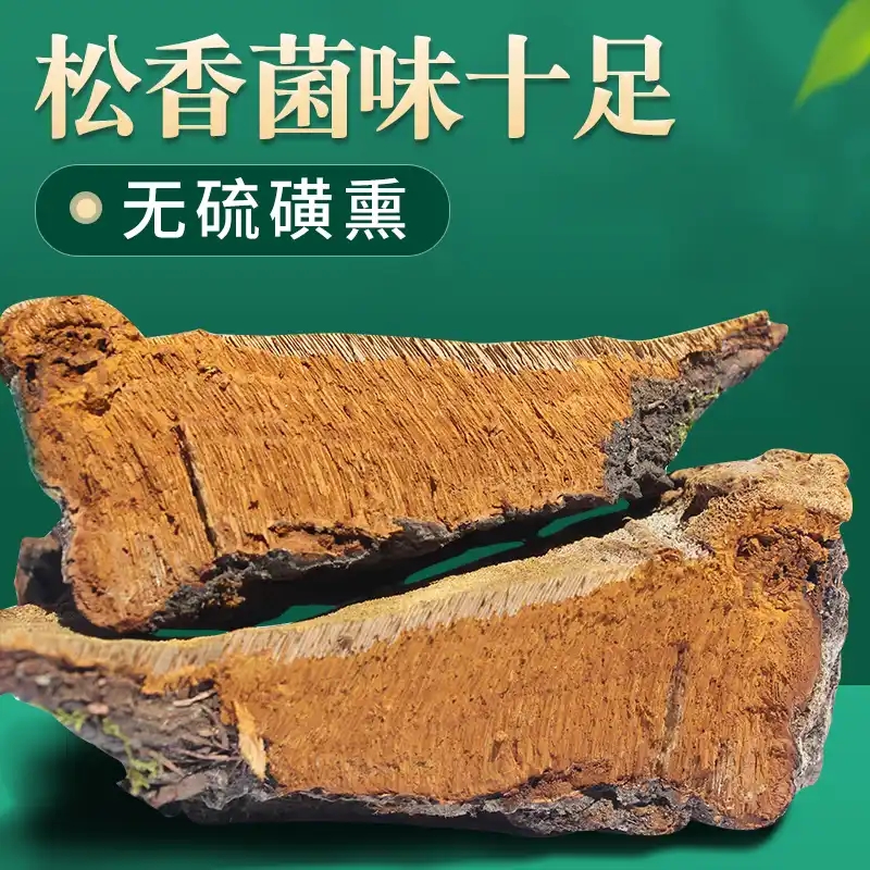 纯天然野生松针层孔菌松树桑黄煮水泡酒