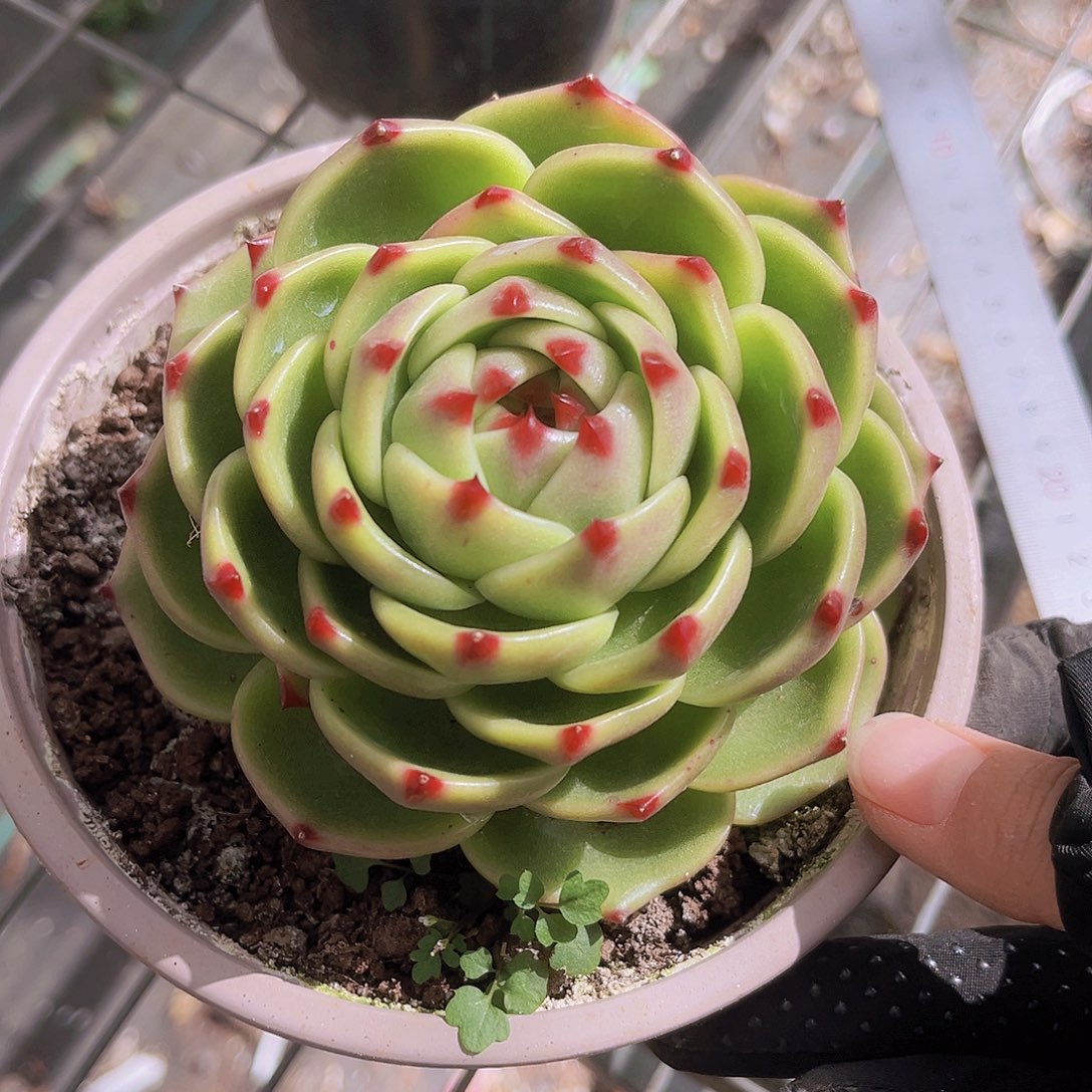 时****时光999999999999