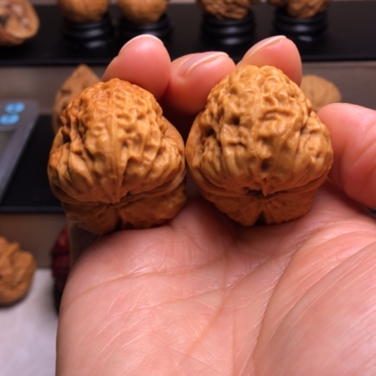 文玩核桃把件卧莲金蟾27