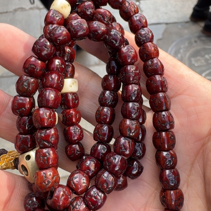 金刚菩提吊坠菩提树等树木的生长