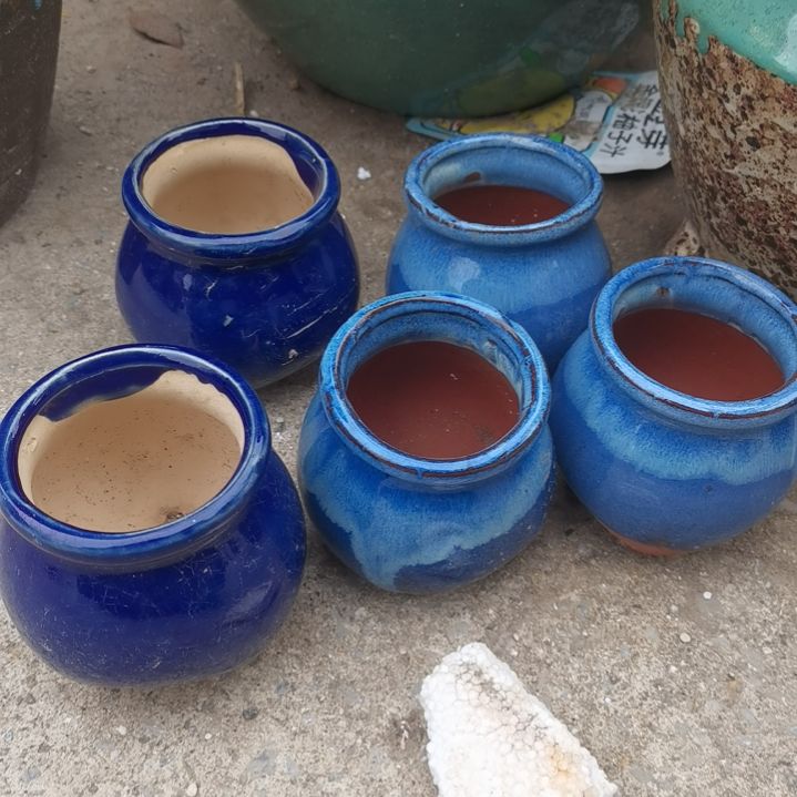 红陶瑕疵随机八个盆子