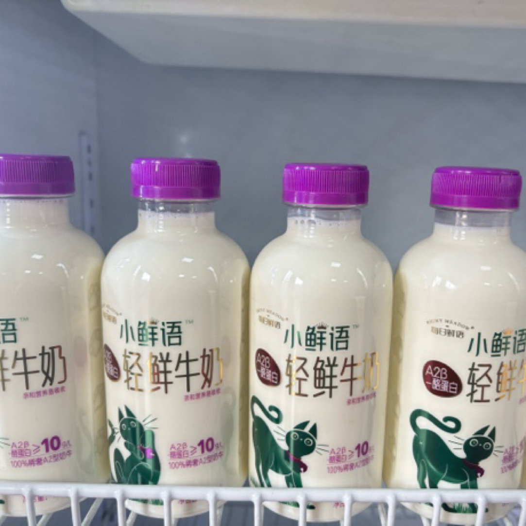 蒙牛小鲜语A2蛋白450ml鲜奶轻鲜营养健康低温巴氏早餐适用